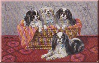 Hunde im Korb, Gruppenbild