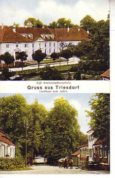 Triesdorf PLZ 8825