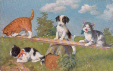 Katzen spielen mit Hund auf einer Schaukel
