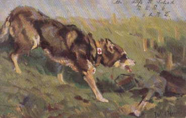 Rot Kreuz Suchhund