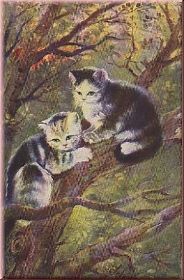 Katzen im Baum