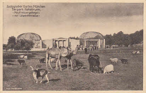 Zoologischer Garten München Heufressergehege